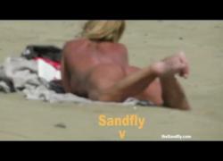 Sandfly Beach VoyJoy