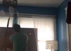 видео Джошлера